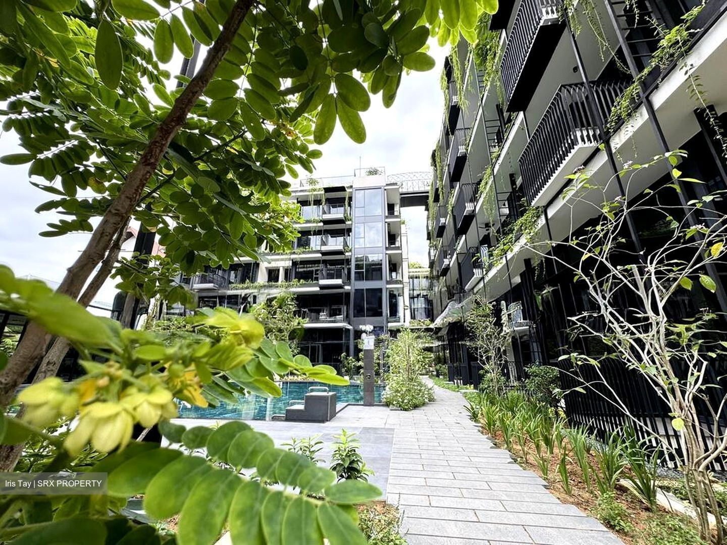 Jervois Mansion (D10), Apartment #523073881